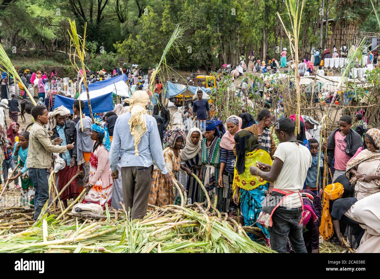 Population sur le marché local, province de Wollo, région d'Amhara, Éthiopie, Afrique Banque D'Images