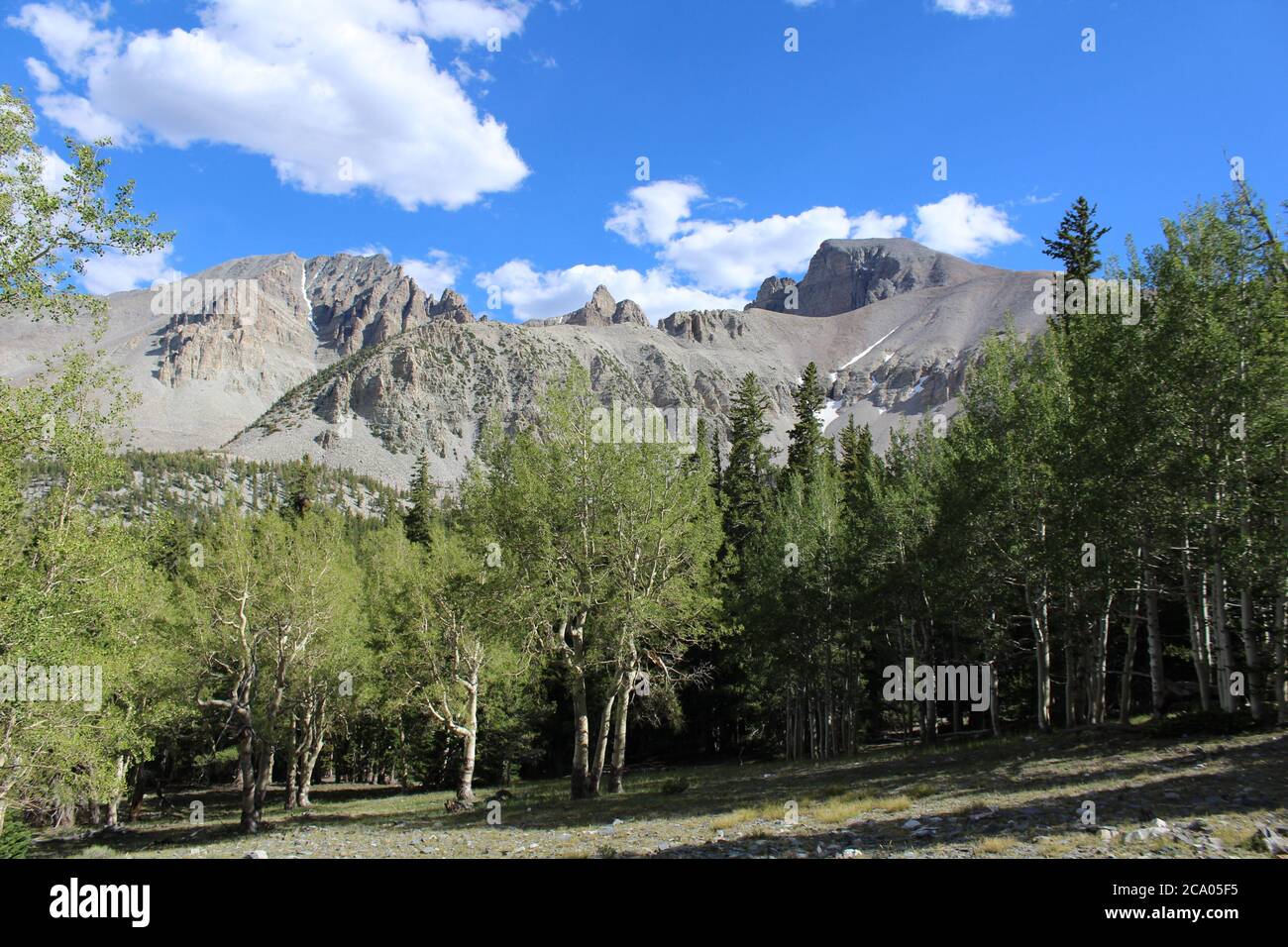 Magnifique paysage de Wheeler Peak du Nevada dans le Great Basin National Stationnement Banque D'Images