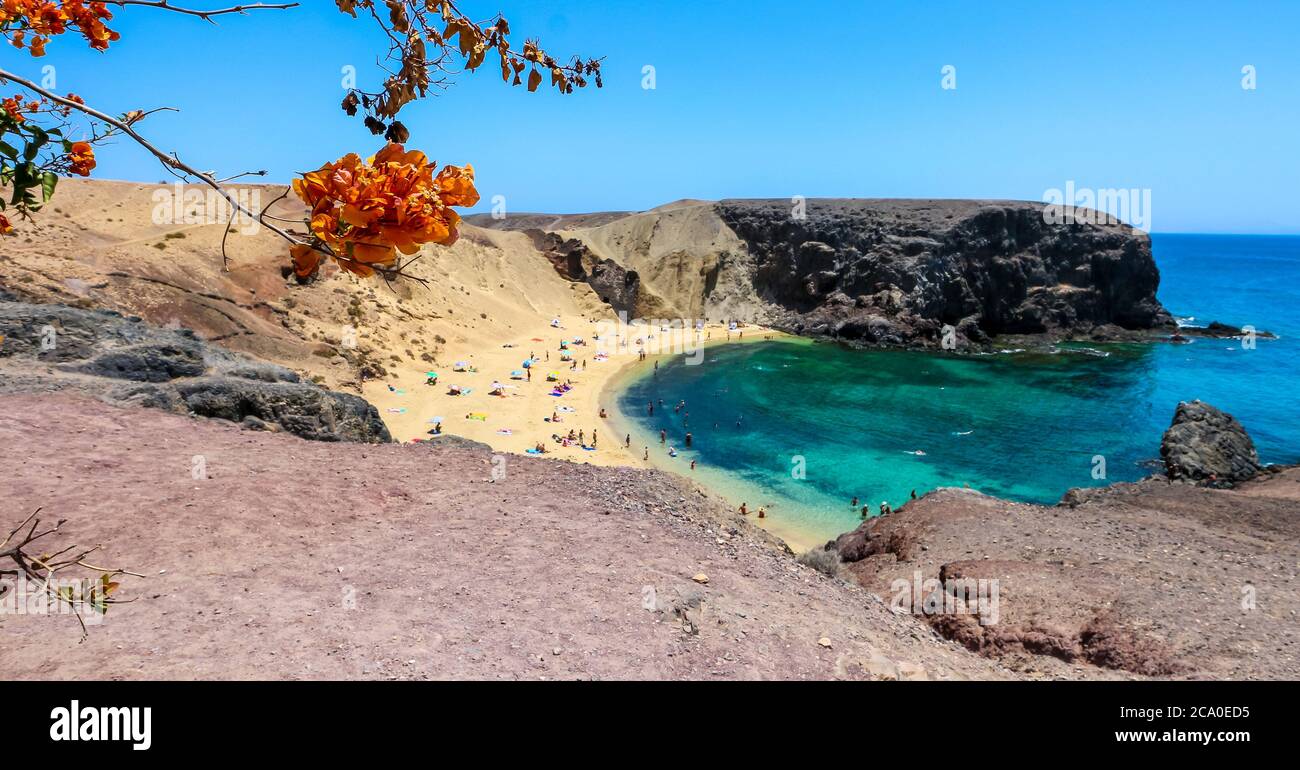 La bougainvillea orange fleurit sur la célèbre plage de Papagayo (Playa Papagayo) et l'Atlantique sur la Costa Blanca, Yaiza, Lanzarote, îles Canaries, Espagne. Banque D'Images