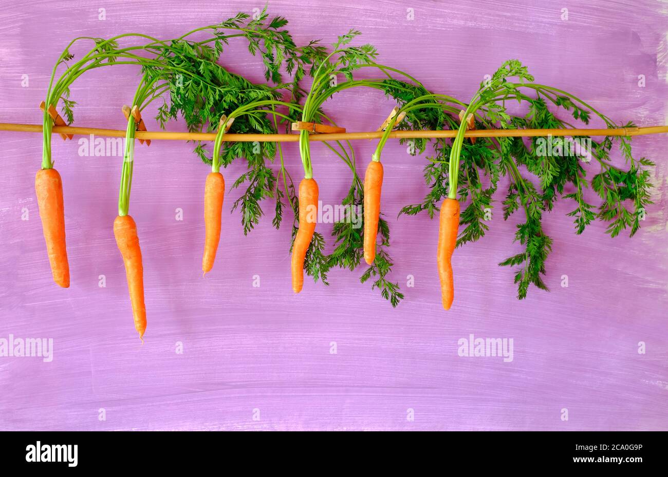 Carottes, légumes produits sans pesticides synthétiques et engrais chimiques, aliments biologiques, concept de saine alimentation. Pose à plat Banque D'Images