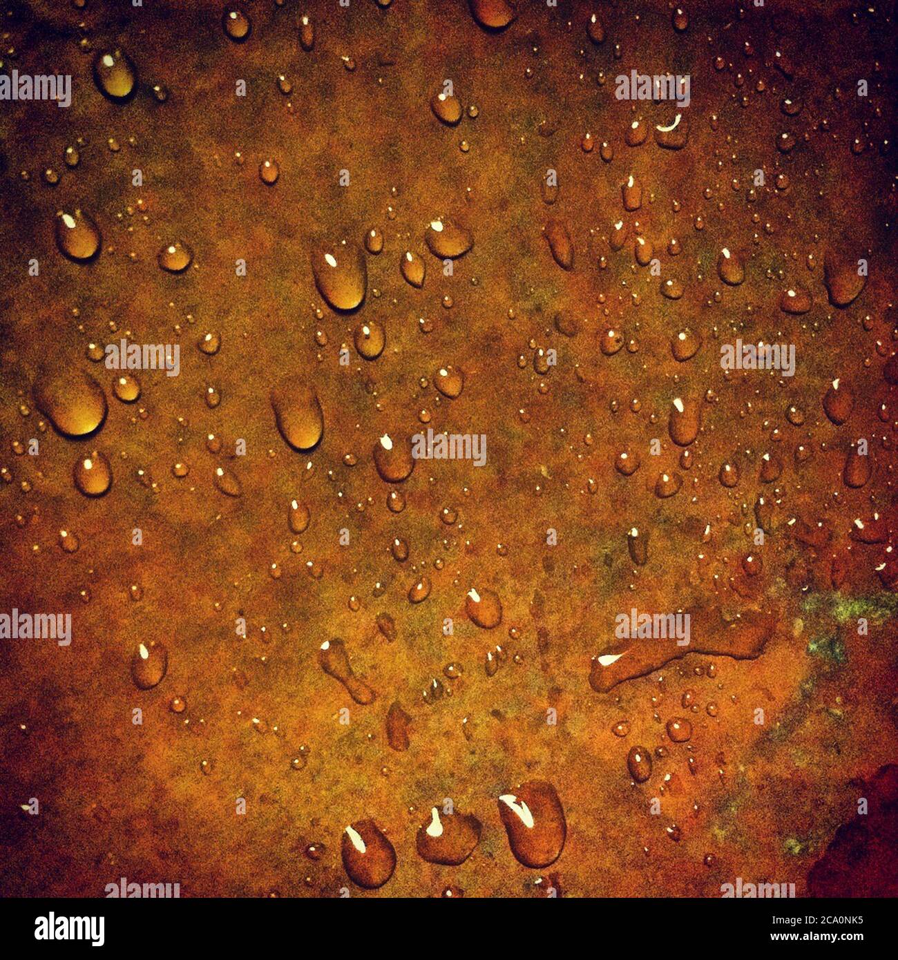 Gros plan d'une goutte d'eau Banque D'Images