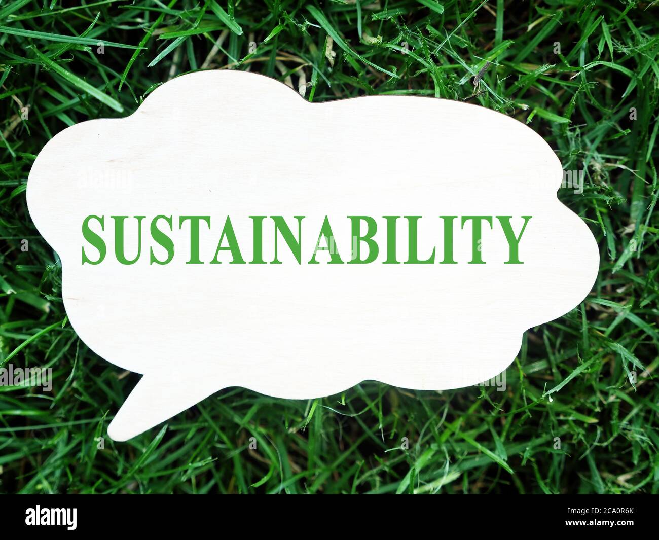 Le mot durabilité sur une petite planche reposant sur l'herbe verte. Banque D'Images