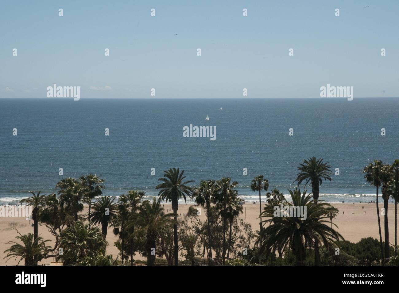 Voiliers dans l'océan Pacifique vue sur les palmiers dans Californie Banque D'Images