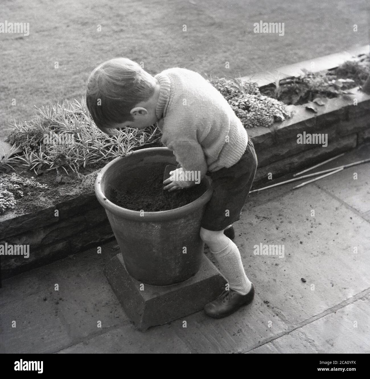 Années 1960, historique, commencer à jardiner jeune,... un petit garçon dans son uniforme d'école primaire à l'extérieur sur un patio remplissant une grande terre cuite ou terre cuite pot, Angleterre, Royaume-Uni. Banque D'Images