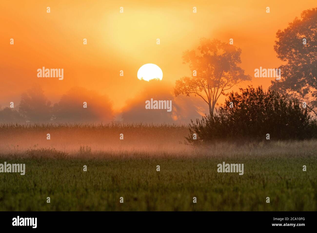 Le soleil se lève au-dessus du paysage en début de matinée d'été Banque D'Images