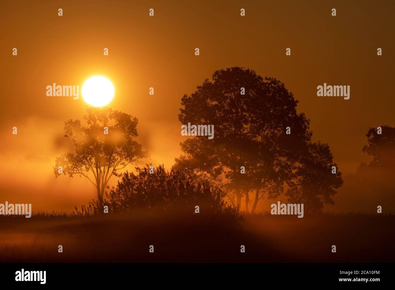 Le soleil se lève au-dessus du paysage en début de matinée d'été Banque D'Images