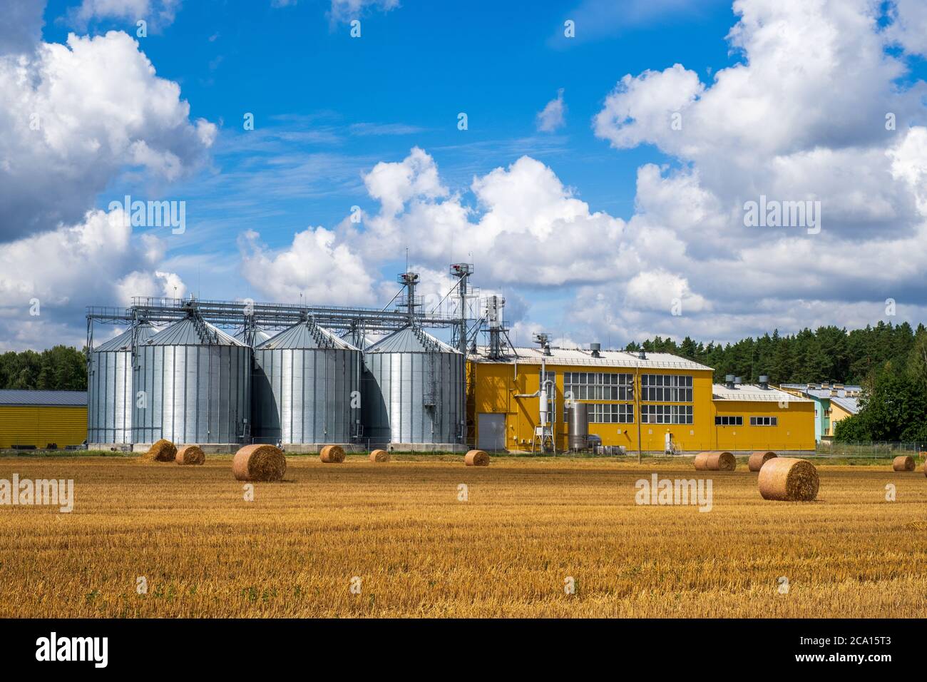 Usine de fabrication agro-alimentaire pour la transformation du séchage, le  nettoyage et le stockage des produits agricoles, de la farine, des céréales  et des céréales. Ascenseur granary Photo Stock - Alamy