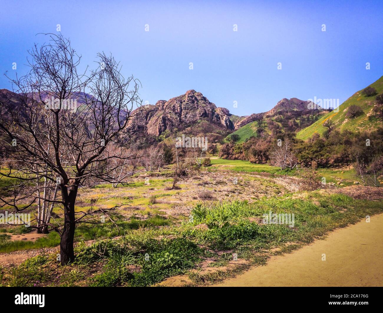 Sentier de terre dans le parc national de Malibu Creek, dans les montagnes de Santa Monica, au printemps 2019 Banque D'Images