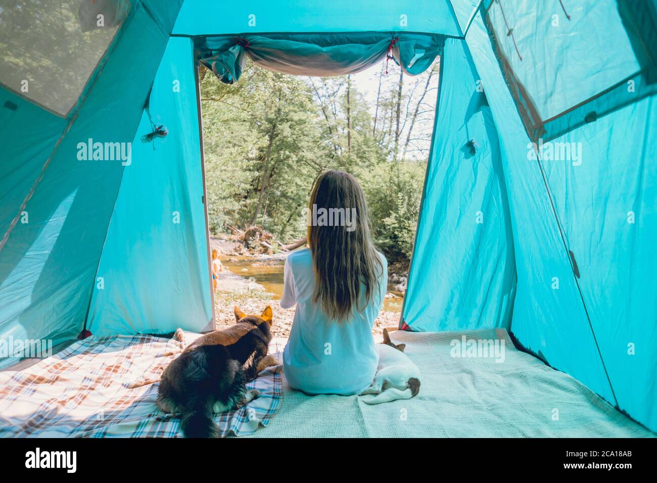 Une touriste féminine dans un camp dans une forêt avec ses chiens ensemble lors d'un voyage nature, concept d'amitié, activités de plein air, voyager avec un animal de compagnie. Banque D'Images