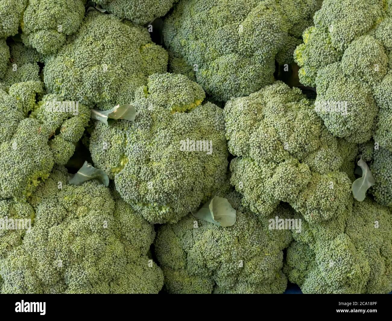 tas de brocoli sur le marché de la rue des légumes-fruits, nourriture écologique biologique des producteurs locaux agriculteurs, fond Banque D'Images