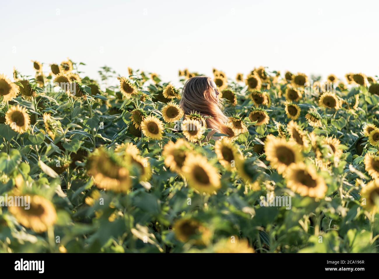 Jeune belle femme souriant et s'amusant dans un champ de tournesol lors d'une belle journée d'été. Banque D'Images