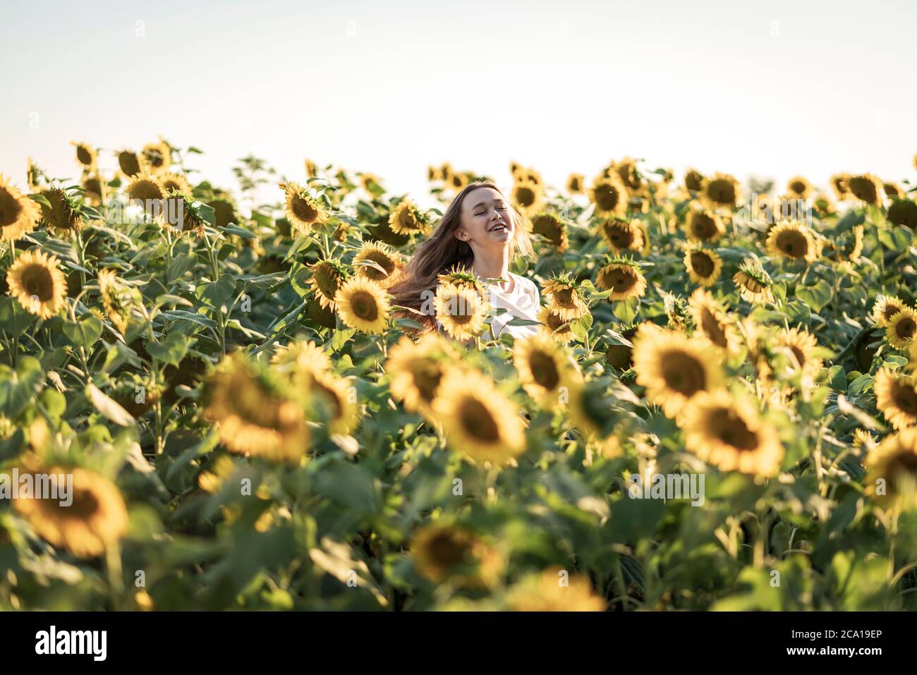Jeune belle femme souriant et s'amusant dans un champ de tournesol lors d'une belle journée d'été. Banque D'Images