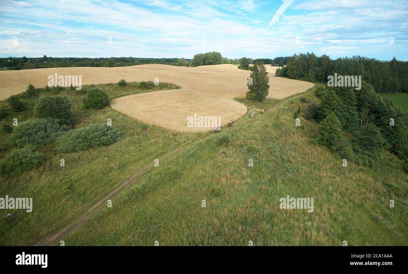 Promenade à cheval sur fond naturel vue aérienne de drone Banque D'Images