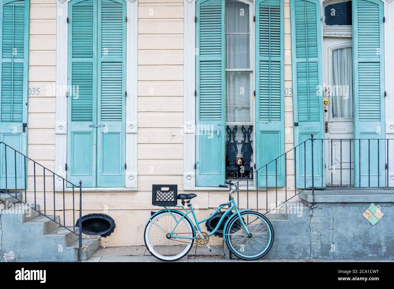 La Nouvelle-Orléans, Louisiana/USA - 7/30/2020: Maison du quartier français en bleu pastel avec vélo et chiens à la fenêtre Banque D'Images