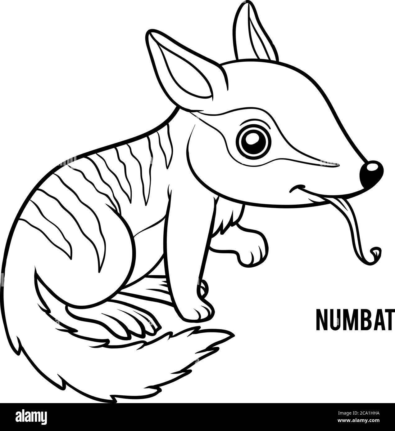 Livre de coloriage pour enfants, Numbat Illustration de Vecteur