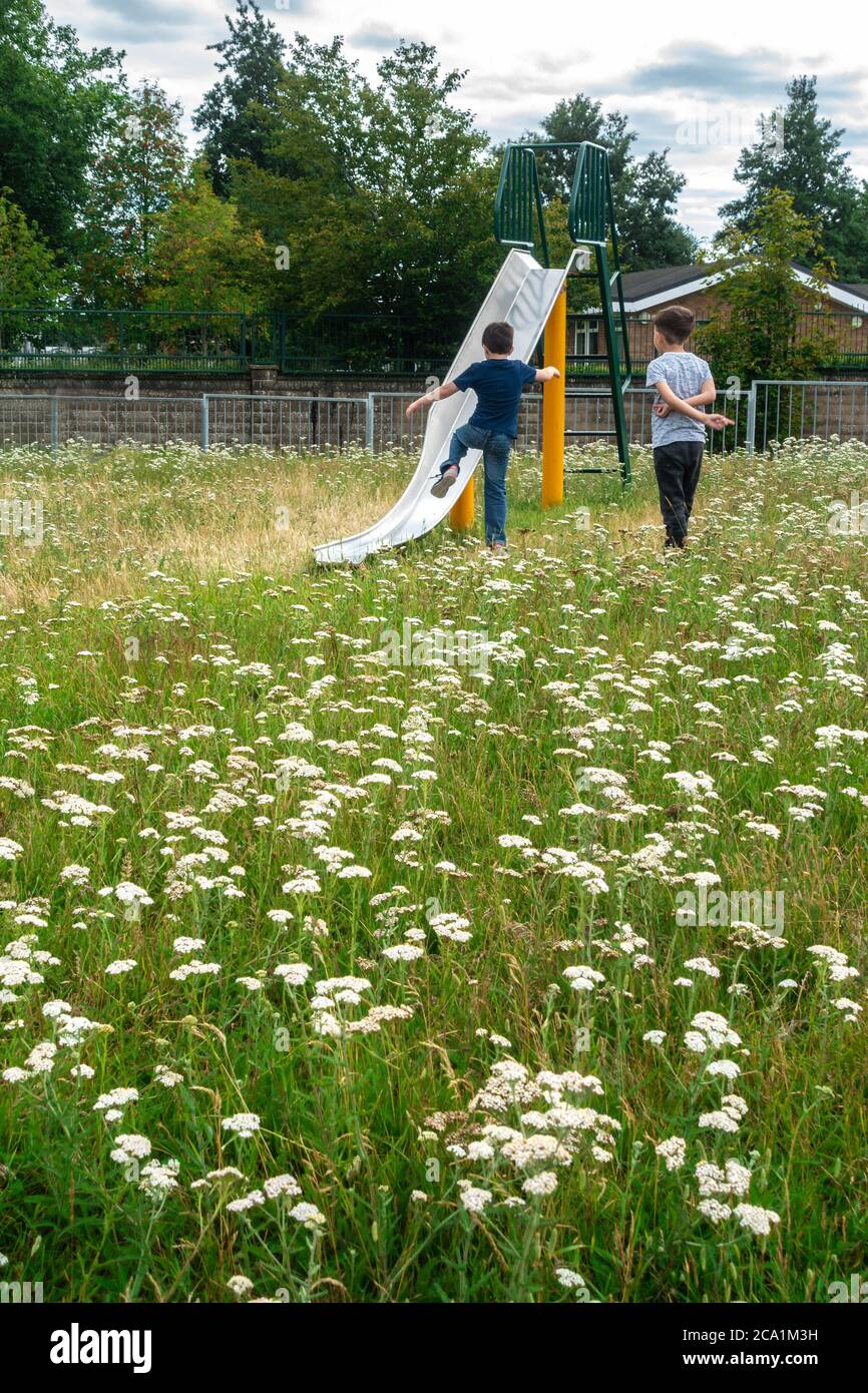 Les enfants jouent sur un toboggan dans une aire de jeux pour enfants dans un parc qui est surgroun avec Achillea Millefolium ou Common Yarrow. Banque D'Images