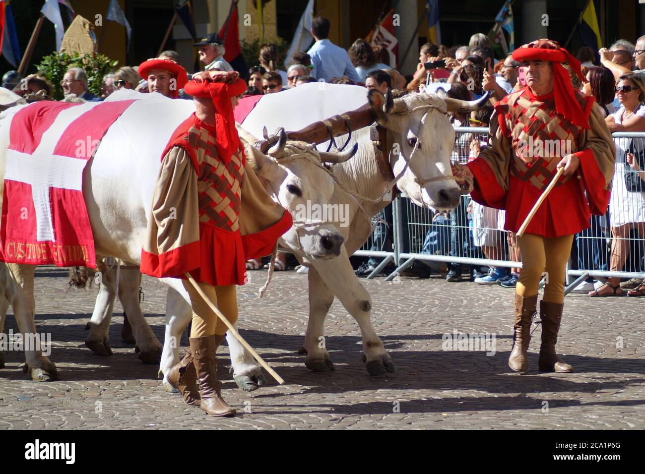 Asti, Piémont, Italie -09/20/2015- Palio est un festival traditionnel d'origines médiévales et d'exposition par des lanceurs de drapeau, la procession historique et le Banque D'Images