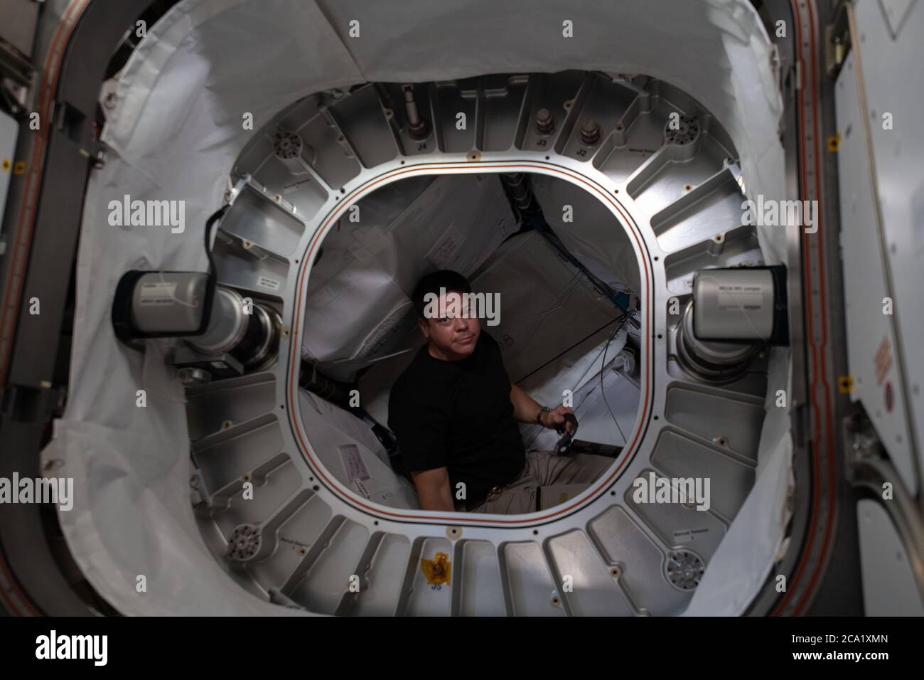 L'astronaute de la NASA Bob Behnken récupère des filtres à charbon dans le module aérospatial extensible Bigelow à bord de la Station spatiale internationale le 16 juin 2020 à Earth Orbit. Banque D'Images