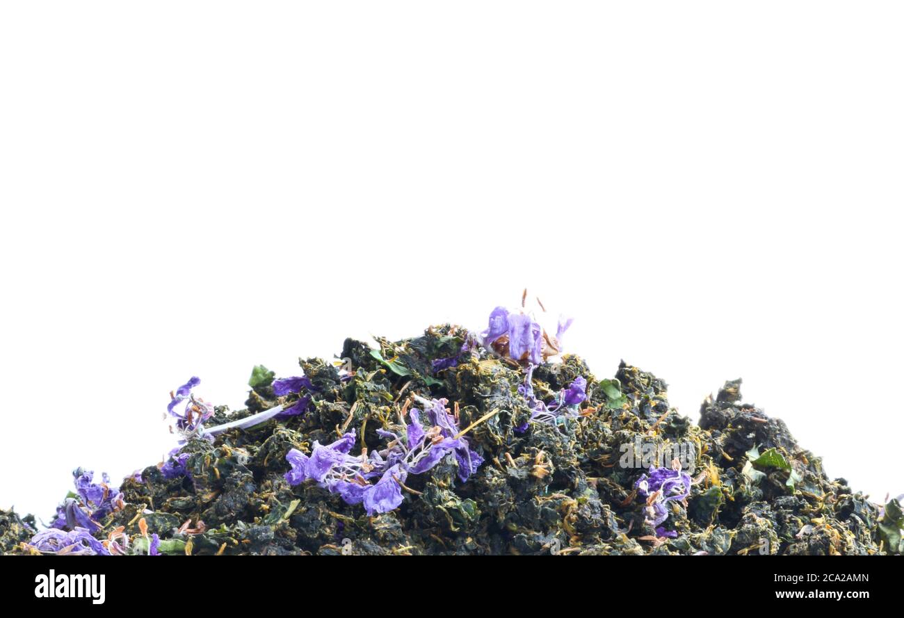 Thé sec d'herbes fermentées. Thé russe traditionnel. Banque D'Images
