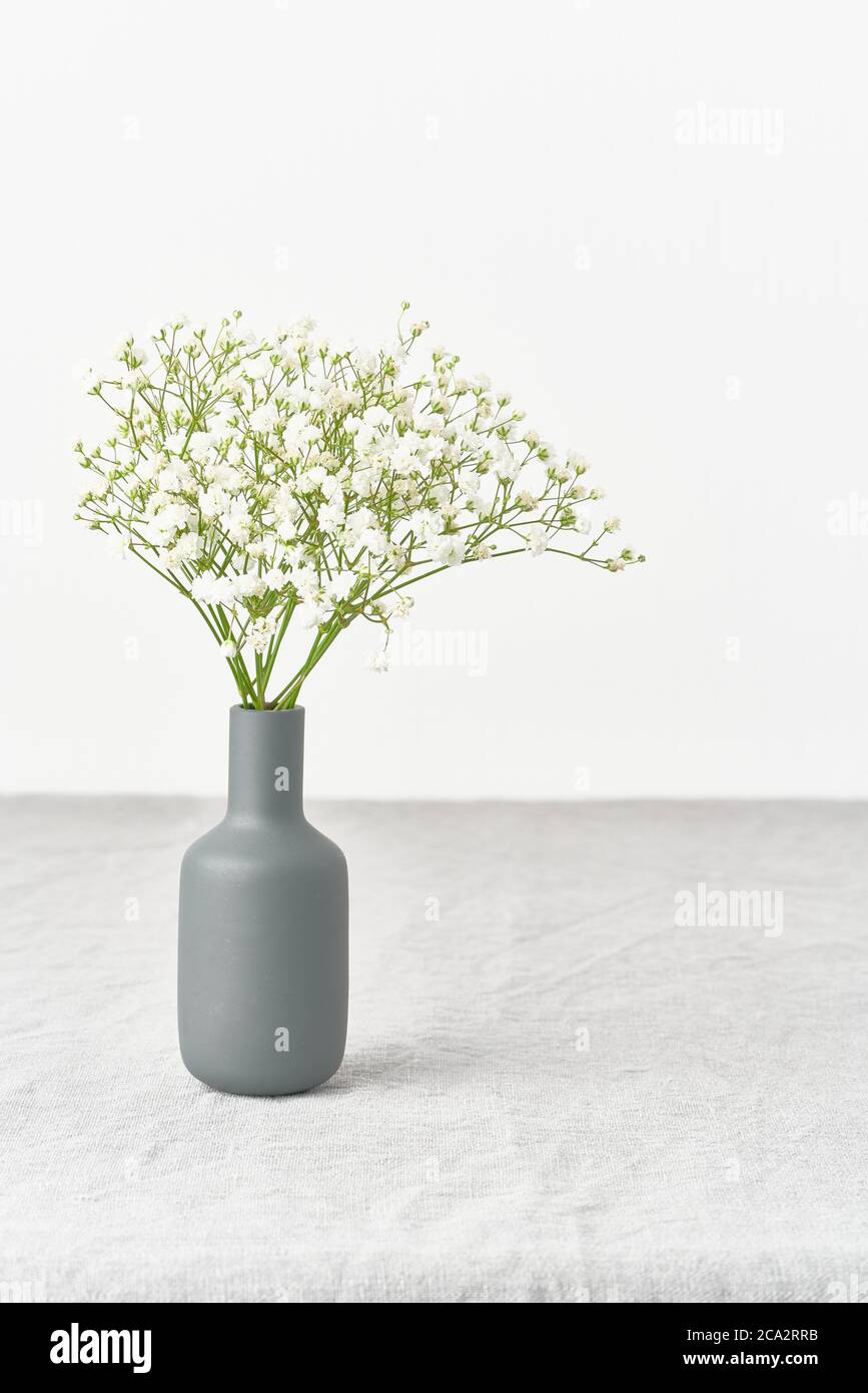 Fleurs de Gypsophila dans un vase. Lumière douce, minimalisme scandinave, murs blancs Banque D'Images