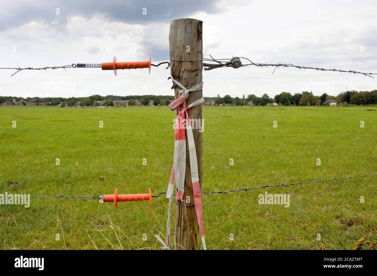poste de clôture sur un pré vert en été Banque D'Images