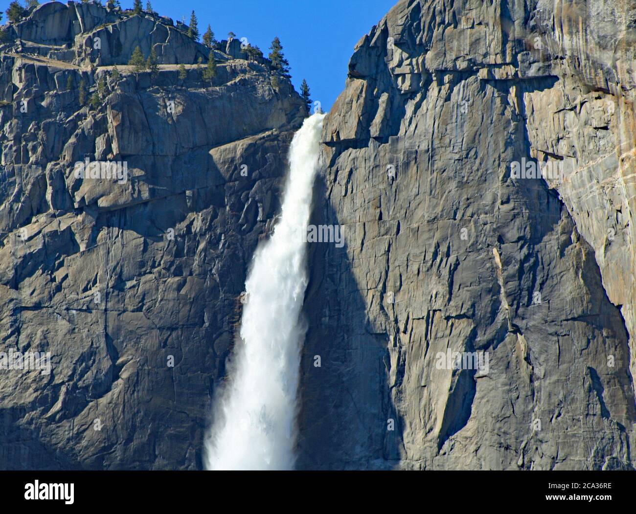 Yosemite Falls dans le Parc National Yosemite. Banque D'Images