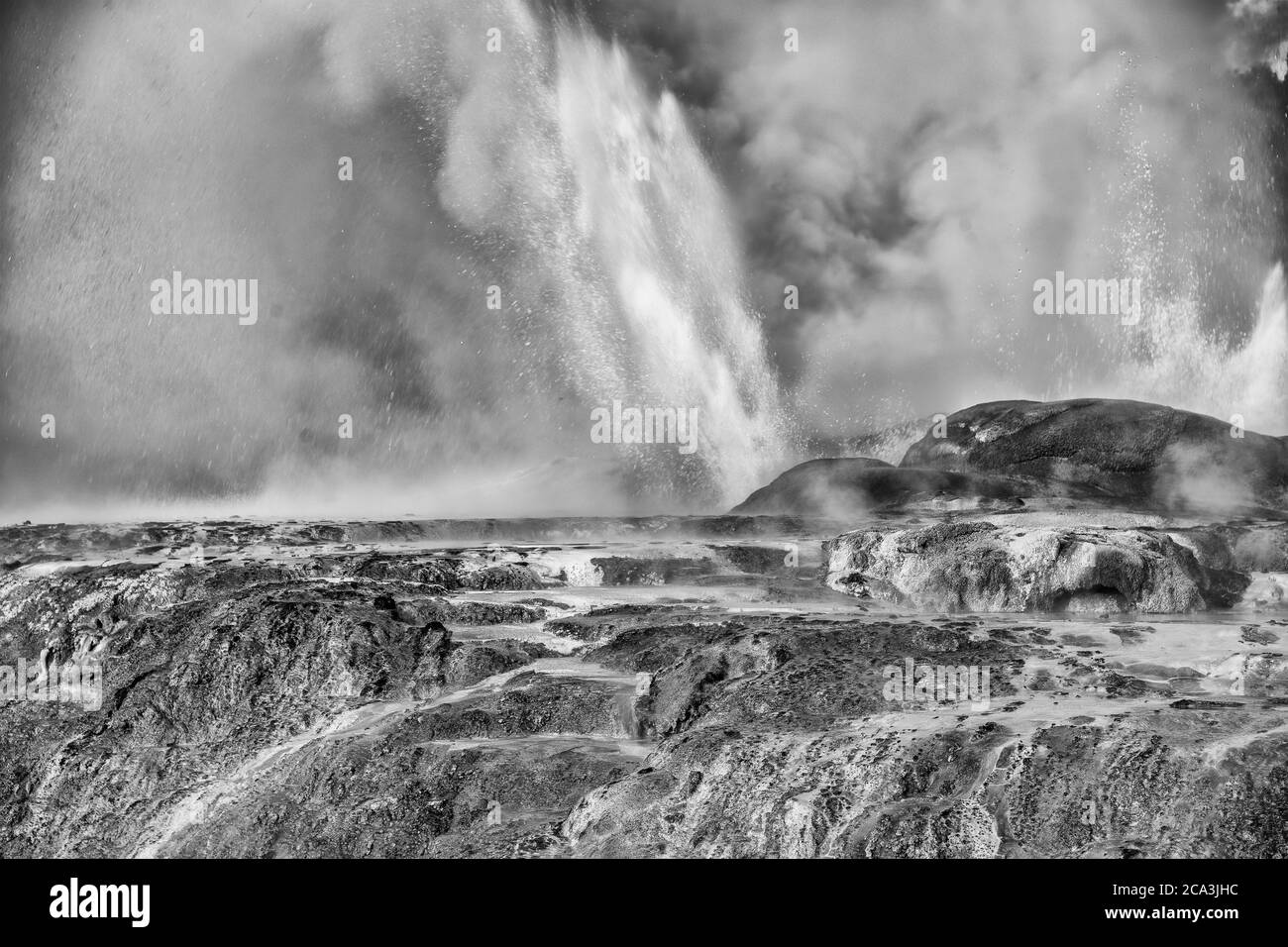 Geysers dans la vallée géothermique de te Puia, Nouvelle-Zélande Banque D'Images