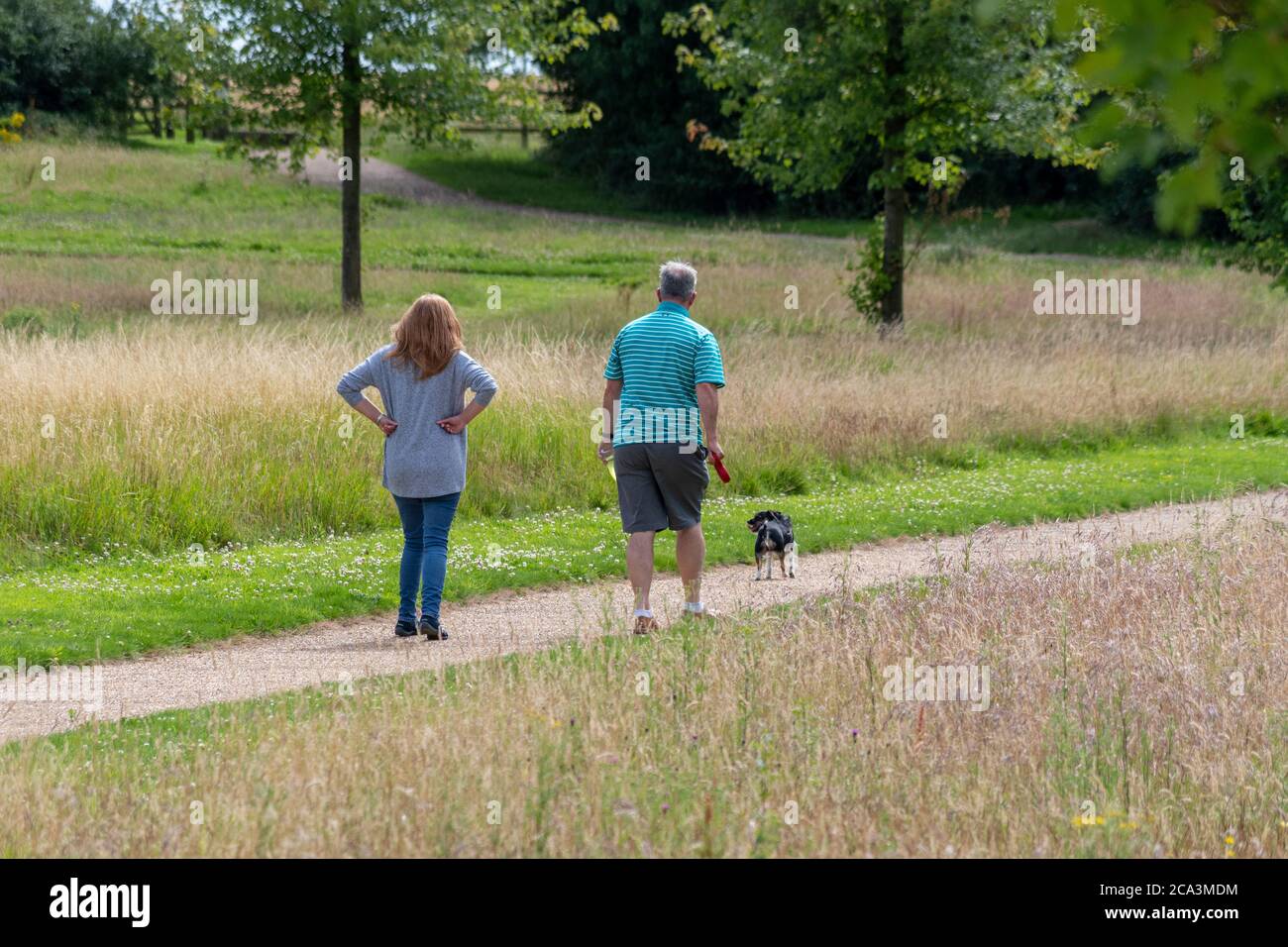 Vue d'été de couple chien de marche, Foxfield Country Park, Northampton, Royaume-Uni Banque D'Images