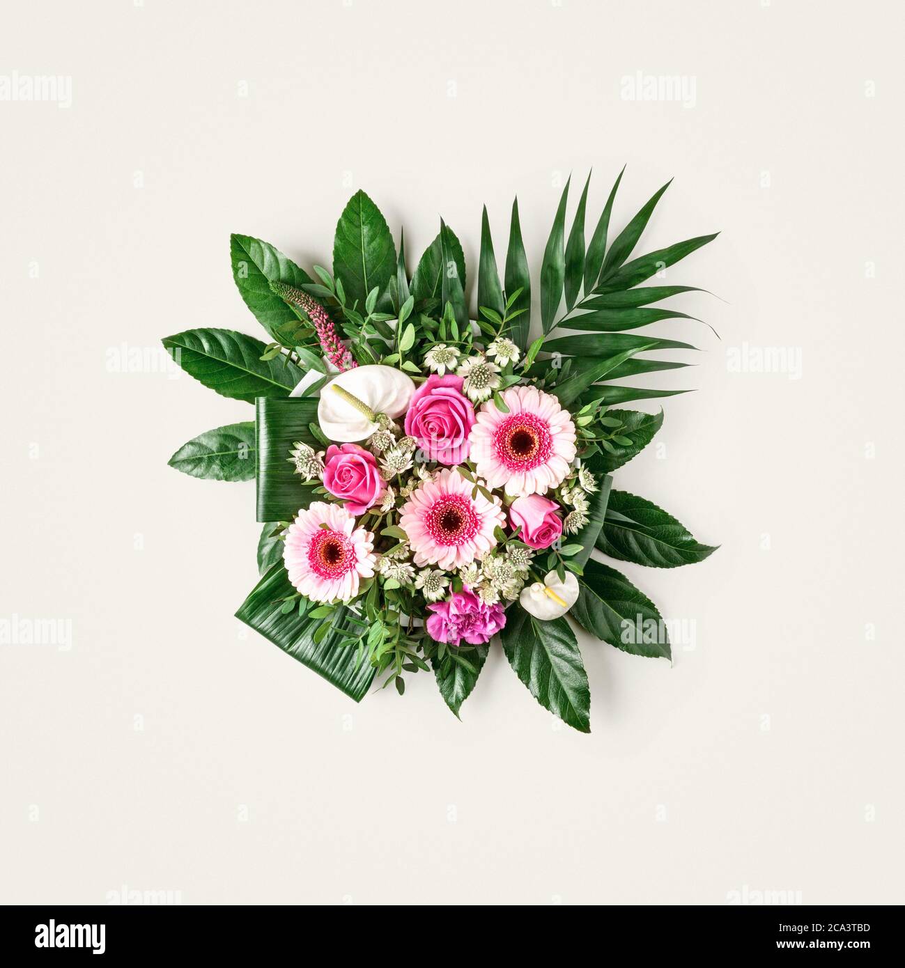 Bouquet de belles fleurs d'été isolées sur fond clair avec chemin de coupure. Mise en page créative et composition florale. Vue de dessus, plan d'appartement. FLO Banque D'Images