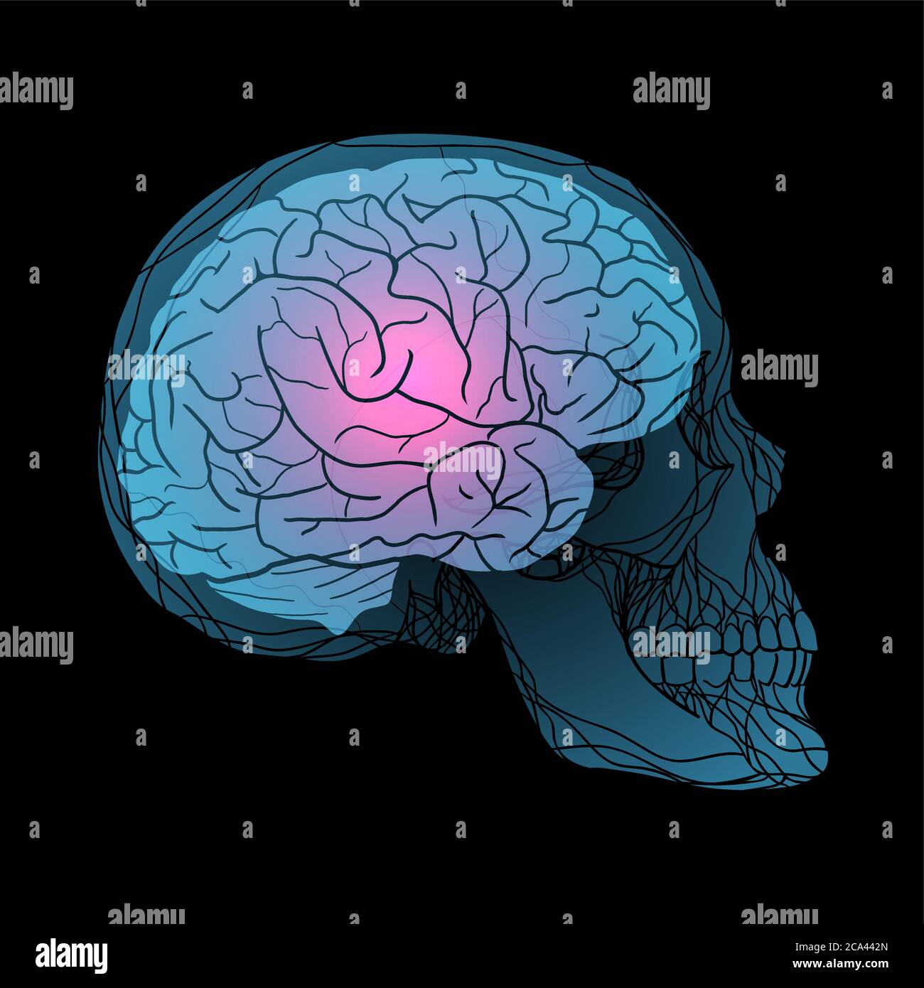 Rayons X du crâne humain avec le cerveau. Illustration vectorielle pour votre créativité Illustration de Vecteur