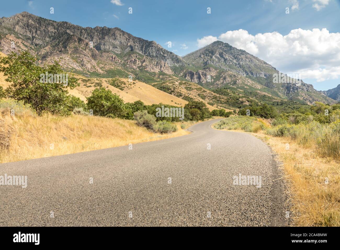 Route sinueuse à Uintah National Forest, Utah Banque D'Images