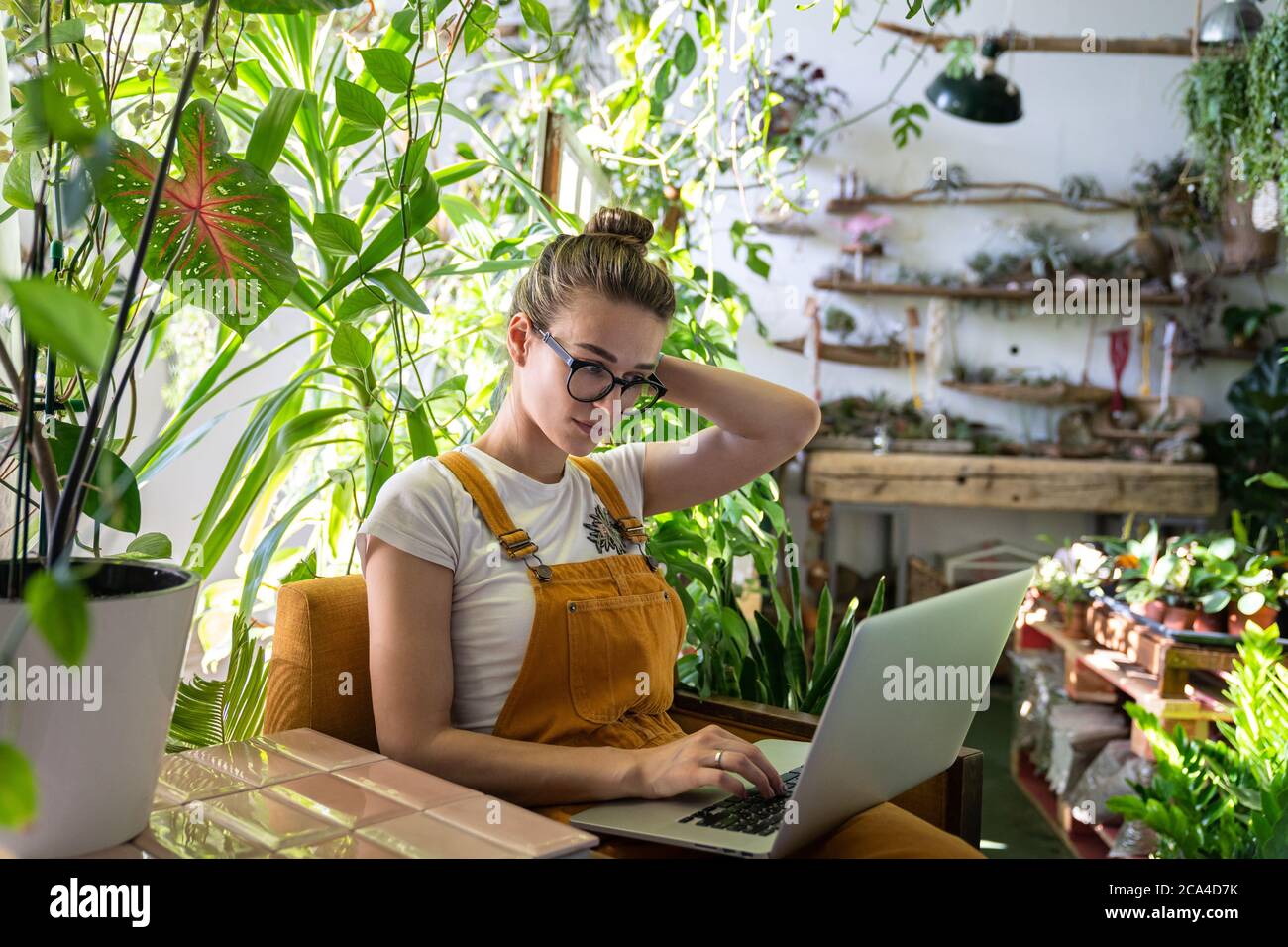 Femme jardinière en lunettes porter un Jean orange combinaisons, assis sur une chaise en serre, travaillant sur un ordinateur portable sur un projet entouré de plantes. À la maison Banque D'Images