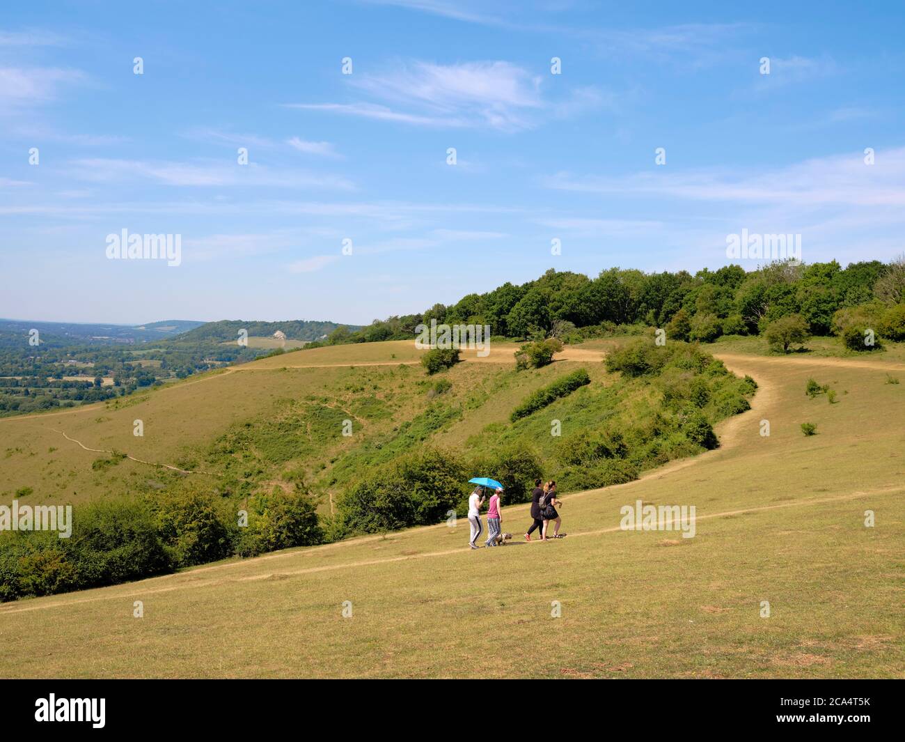 North Downs Way Ramblers - UN jour d'été au sommet de Reigate Hill / Colley Hill sur les North Downs au-dessus de Reigate dans Surrey Angleterre Royaume-Uni 2020. Banque D'Images