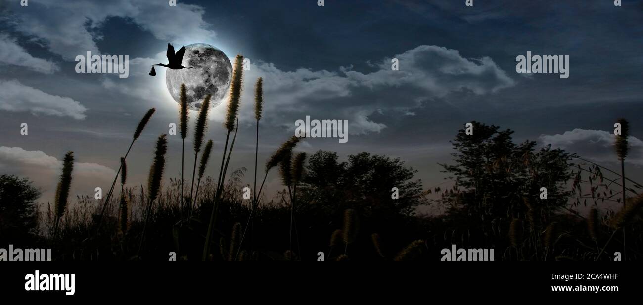 Partez à la conquête d'un bébé qui survole la lune Banque D'Images