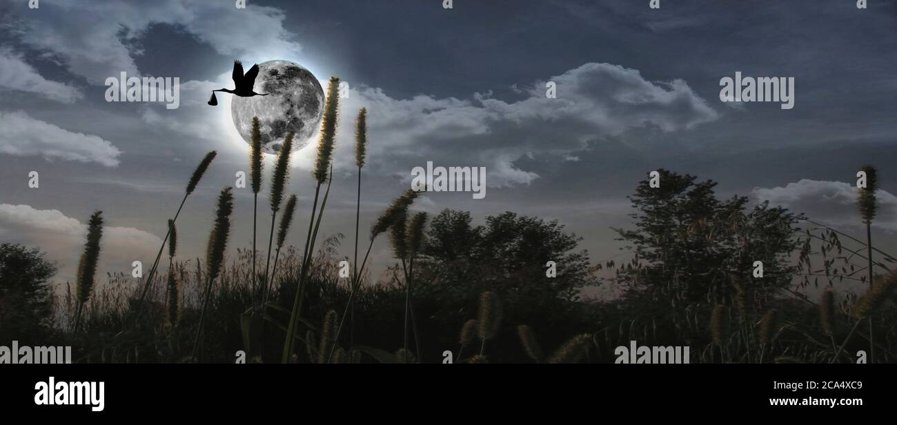 Porc Volant Avec Bebe Dans Le Bec Au Dessus De La Pleine Lune Photo Stock Alamy