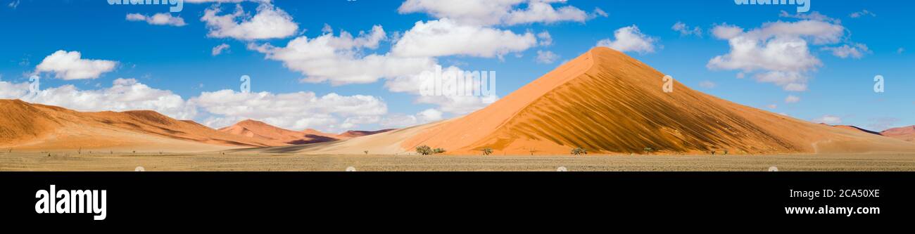 Vue sur les dunes de sable rouge de Sossusvlei, parc national Namib-Naukluft, Namibie, Afrique Banque D'Images