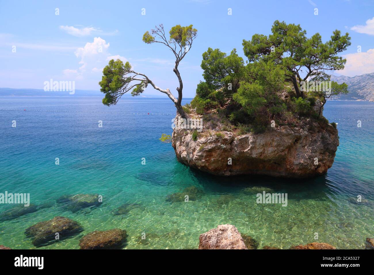 Split, Croatie. Monument naturel de l'île rock miniature avec un robuste de pins. Punta Rata. Banque D'Images