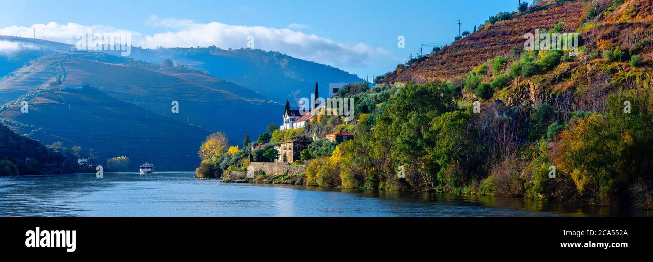 Vue sur les vignobles près de la rivière, le Douro, Portugal Banque D'Images