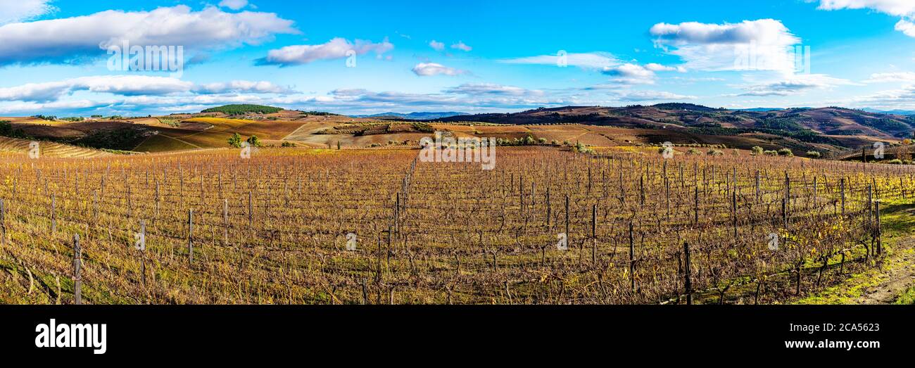 Vue sur les vignobles de la vallée du Douro, Pinhao, Portugal Banque D'Images