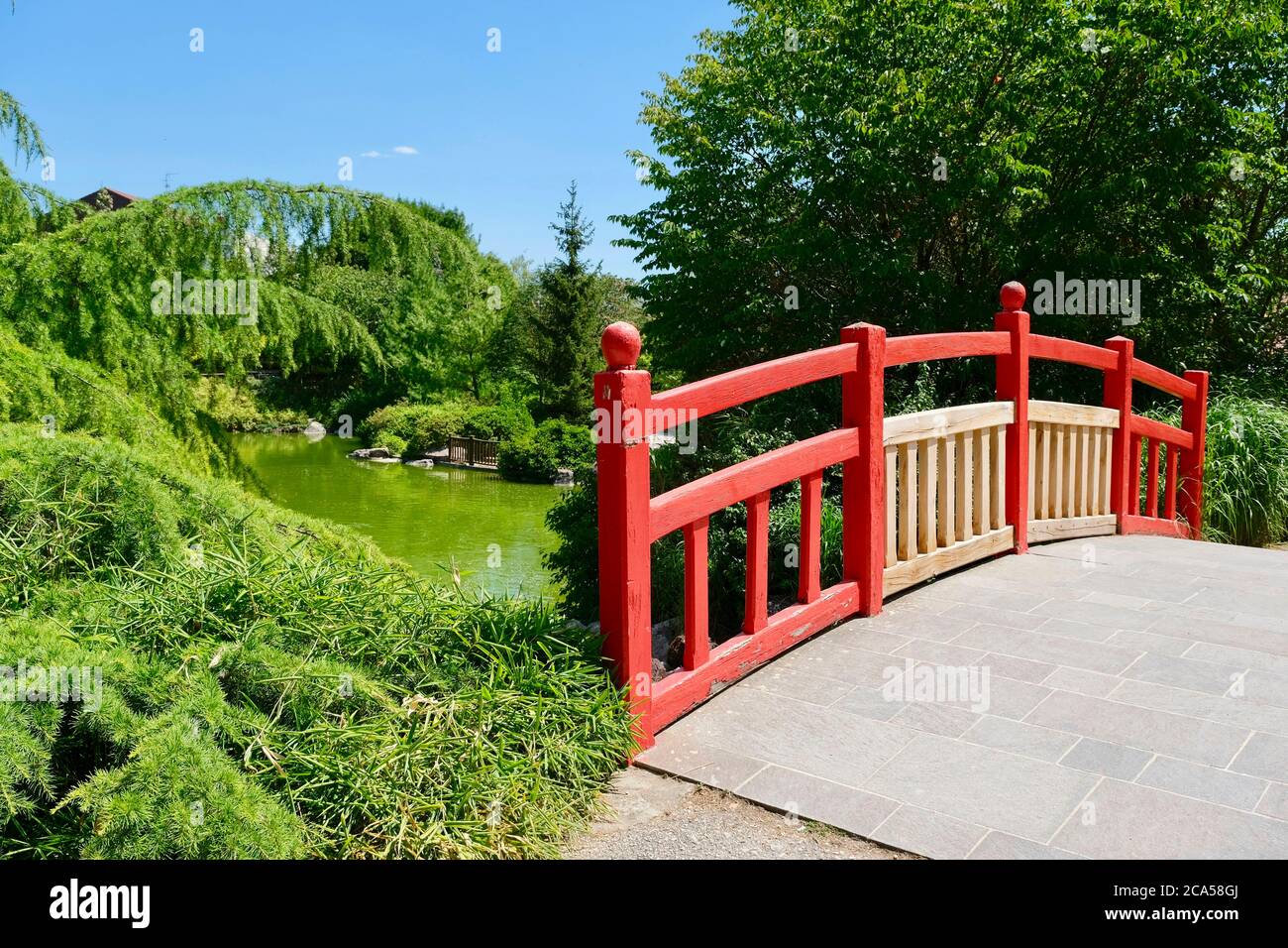 France, Côte d'Or, Dijon, parc de Suzon, jardin japonais Banque D'Images