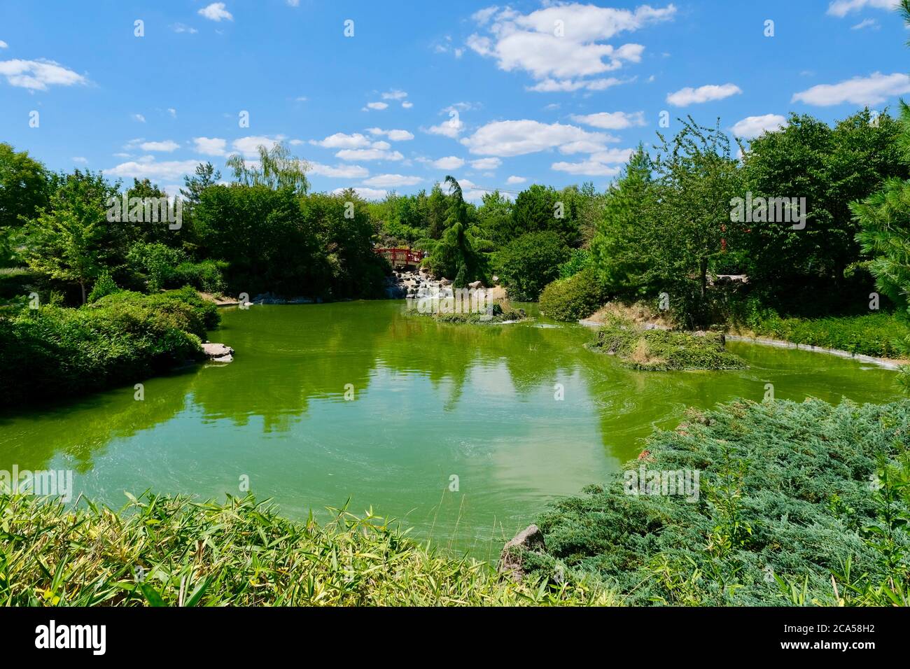 France, Côte d'Or, Dijon, parc de Suzon, jardin japonais Banque D'Images