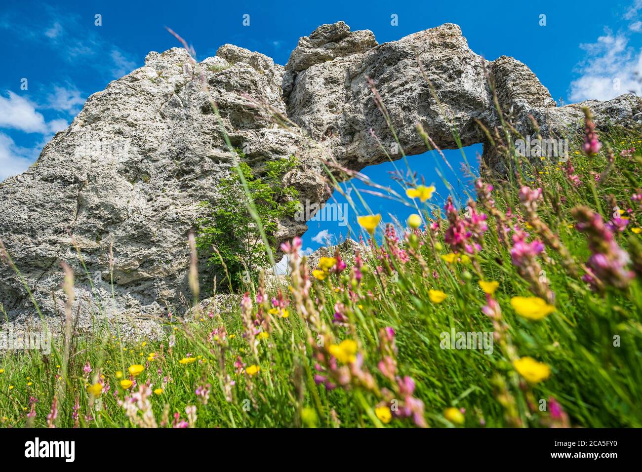 France, Isère, région de la Matheysine (ou plateau matheysin), Pierre-CH?tel, Pierre PERC?e, une arche naturelle sur la colline de Creys (alt: 1220m) Banque D'Images