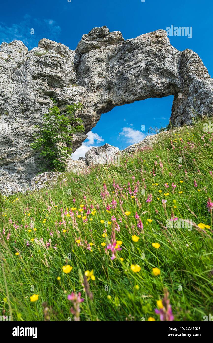 France, Isère, région de la Matheysine (ou plateau matheysin), Pierre-CH?tel, Pierre PERC?e, une arche naturelle sur la colline de Creys (alt: 1220m) Banque D'Images