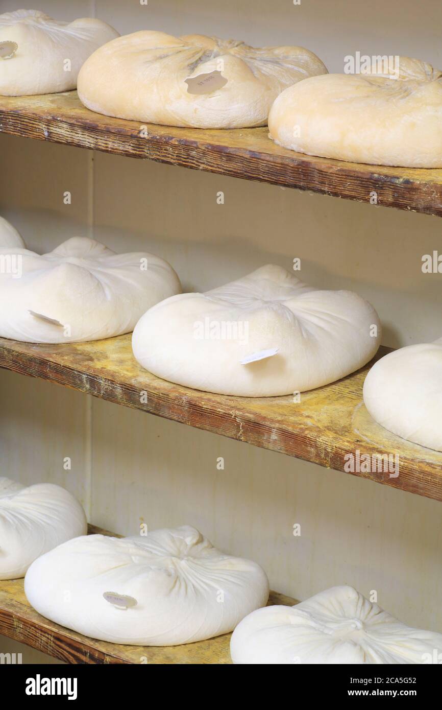France, Var, Dracenie, CH?teaudouble, la ferme de la Poustourelle, la fleur de chèvre (fromages de lait de chèvre moulés avec un tissu) Banque D'Images