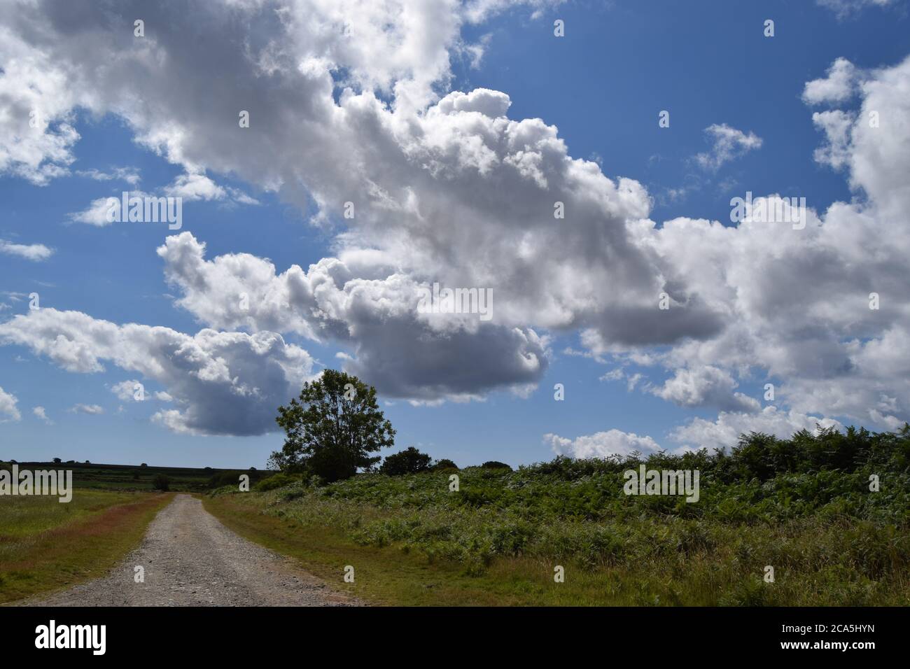 grand ciel sur la piste de la ferme Banque D'Images