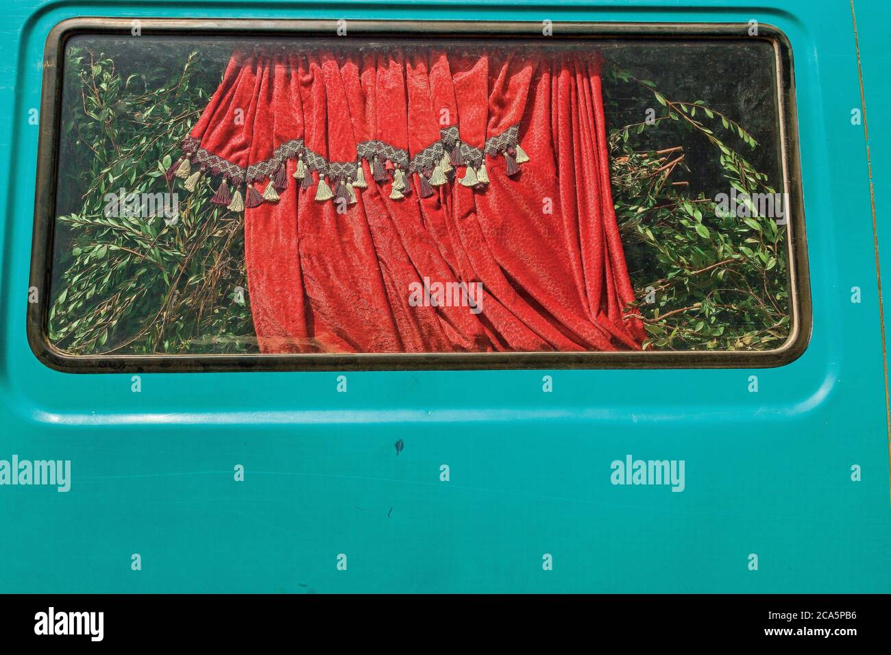 Maroc, Meknes, transport de plantes dans une camionnette Banque D'Images