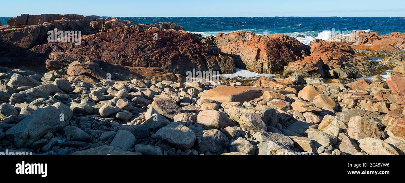 Paysage avec côte rocheuse, île Fogo, Île de Terre-Neuve, Canada Banque D'Images