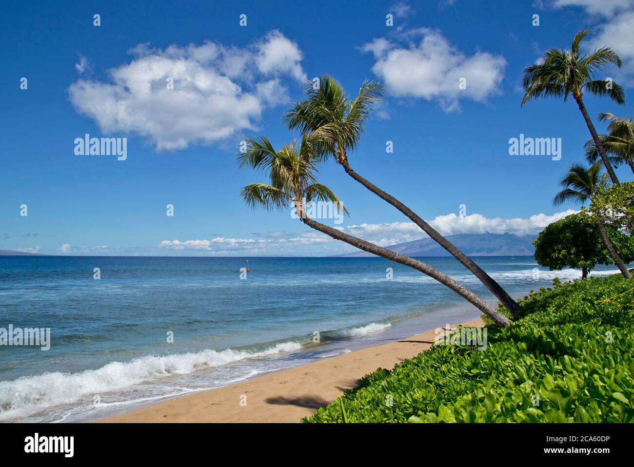 Magnifique vue sur le paysage à la plage de Kaanapali à Maui, Hawaï Banque D'Images