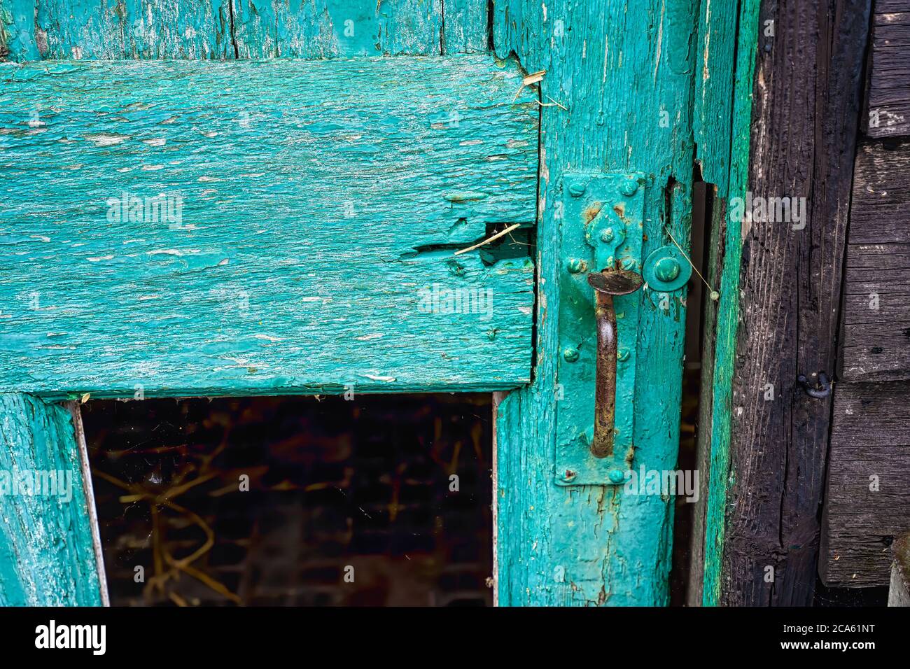 Une porte de grange peinte cyan, tombant deralict avec un pannel manquant. Banque D'Images