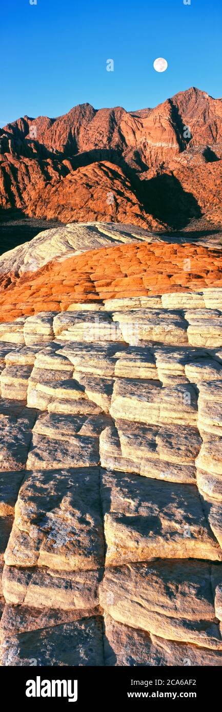Dunes pétrifiées, parc national de Snow Canyon, Utah, États-Unis Banque D'Images